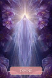 card-2