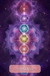 card-26
